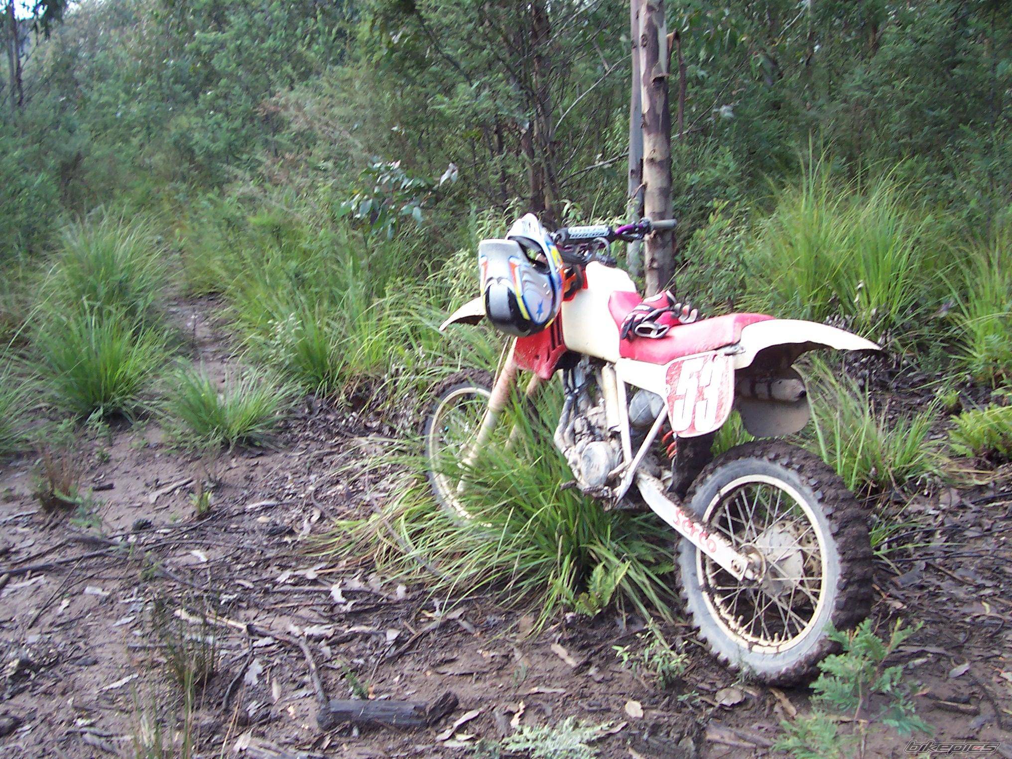 Photo 386932