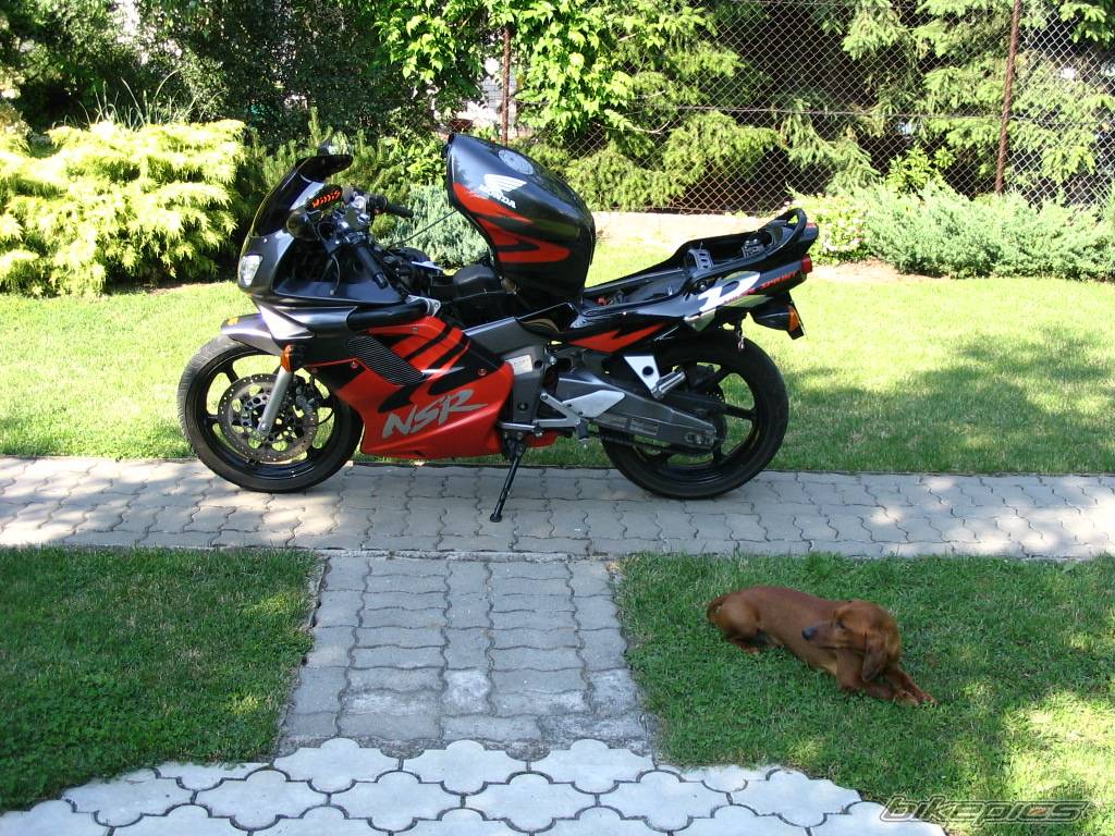 Bike Photo 386959