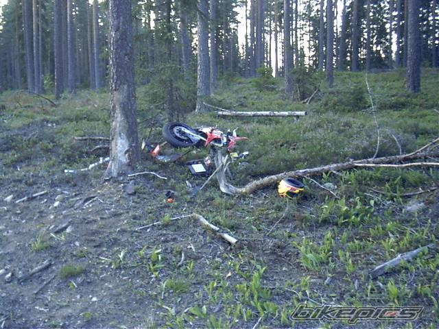 Photo 38705
