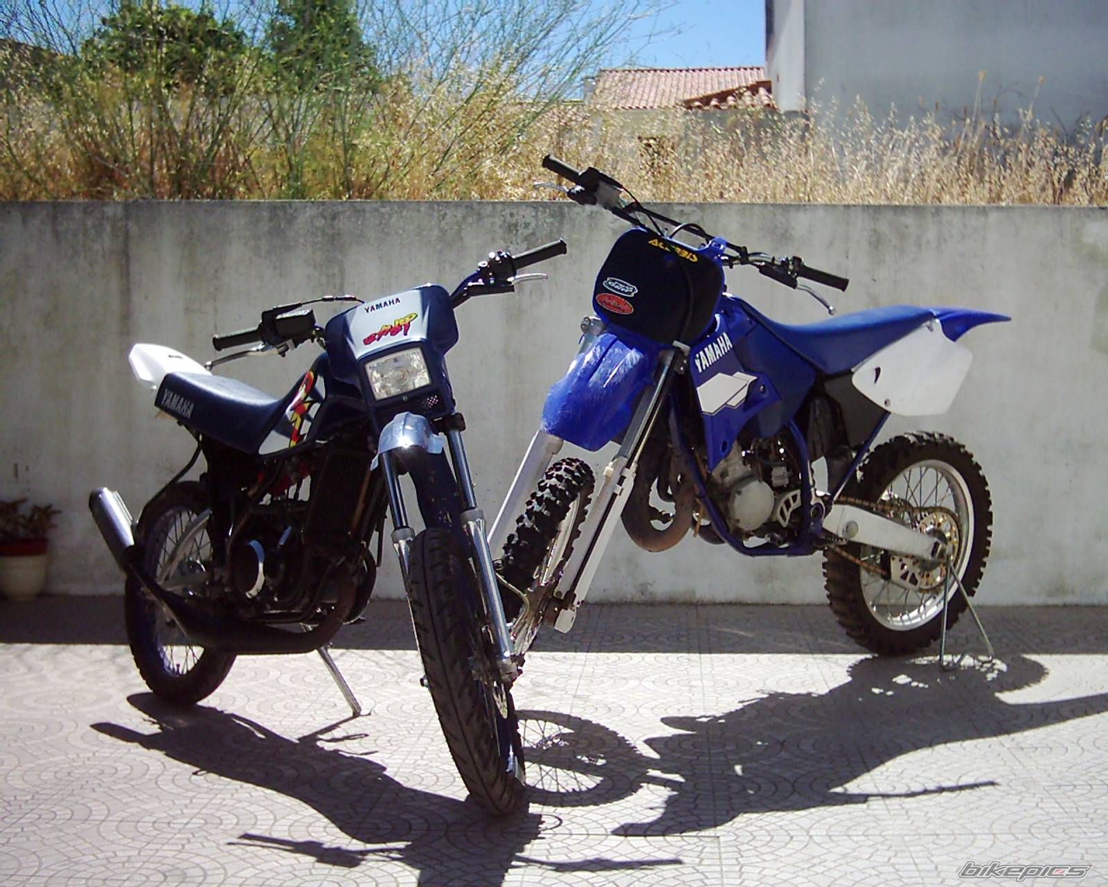 Bike Photo 387166