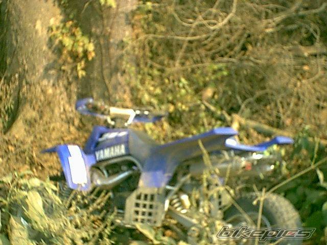 Photo 38729