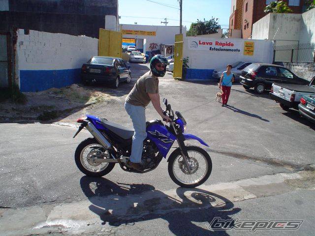 Photo 387472
