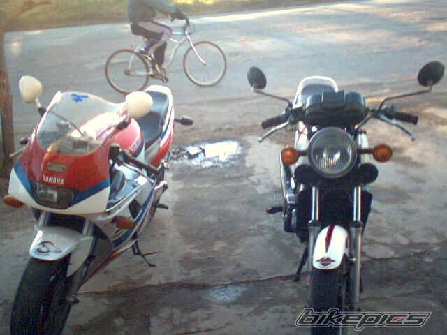 Photo 387484