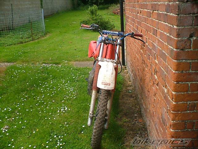 Bike Photo 387486