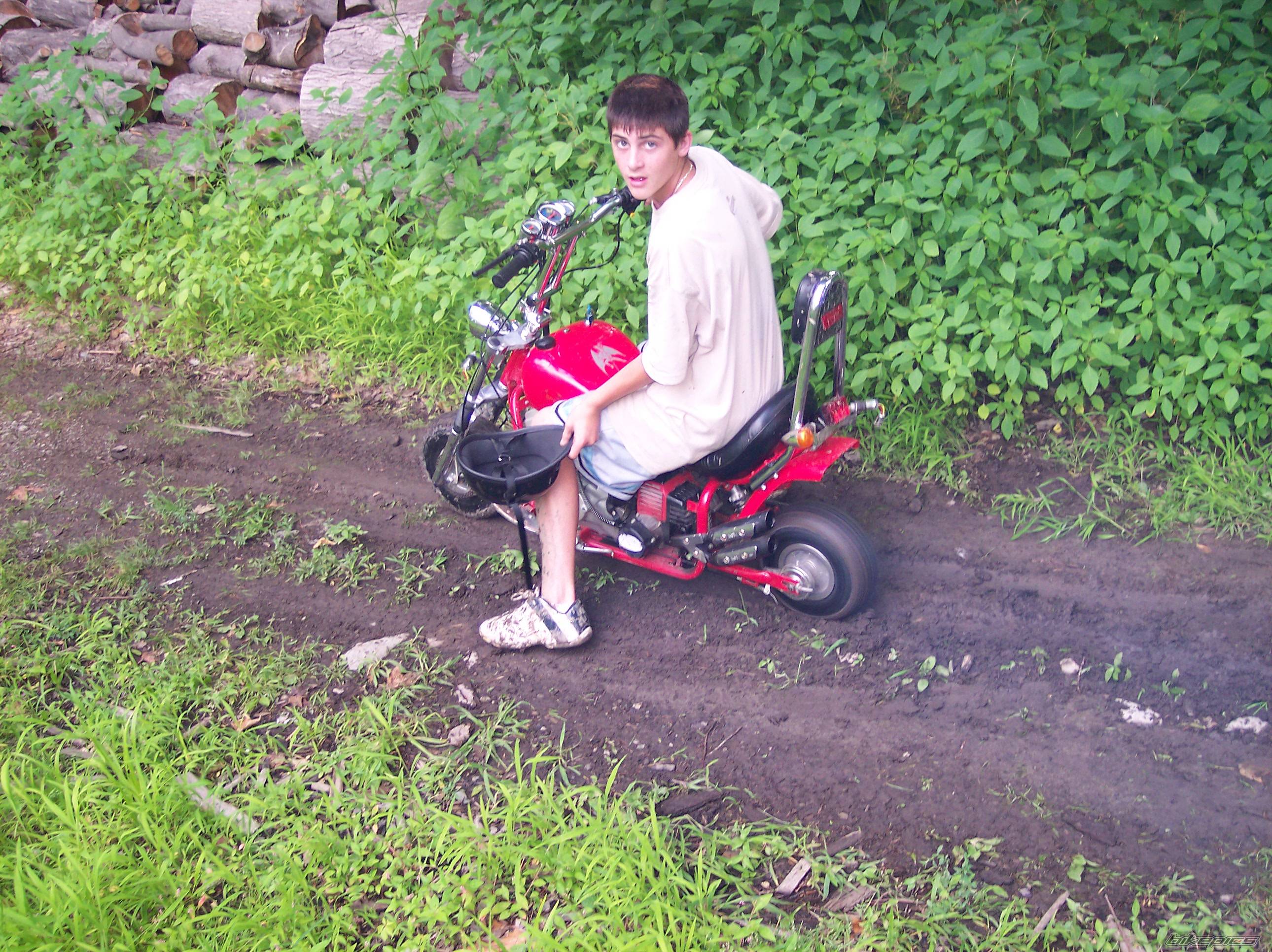Bike Photo 387490