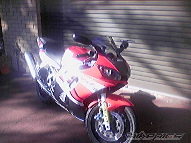Photo 387554