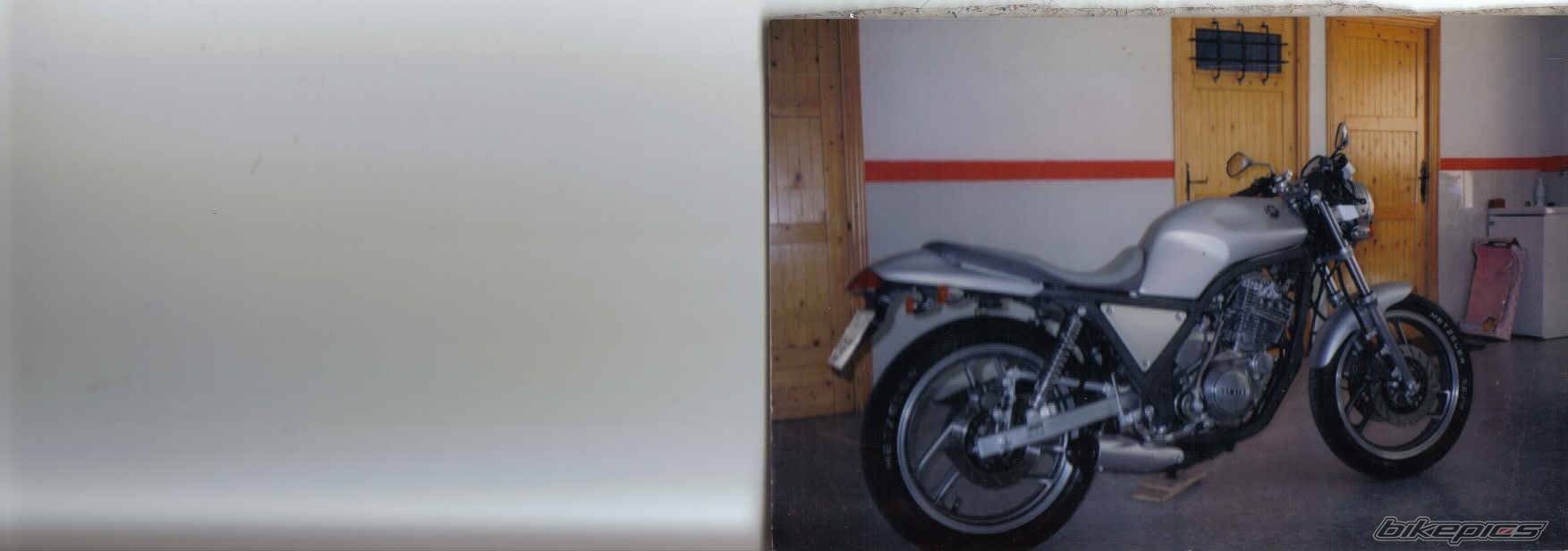Photo 387569