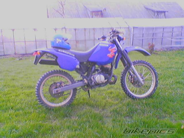 Photo 387678