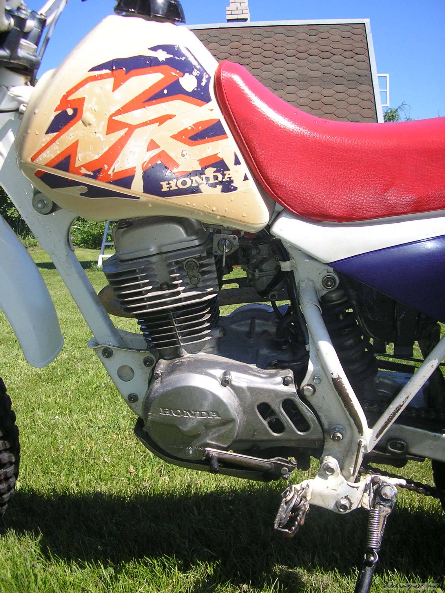 Bike Photo 387706