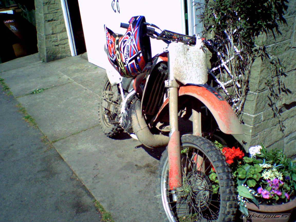 Photo 387718