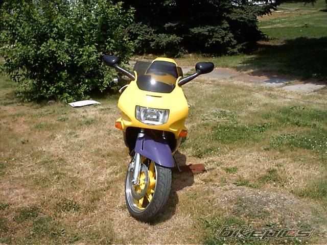 Photo 387766