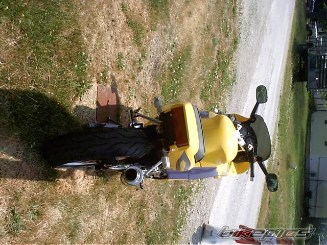 Photo 387767