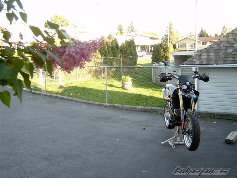 Photo 387793