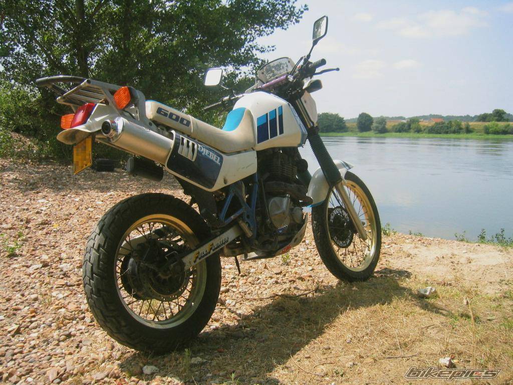 Bike Photo 387837