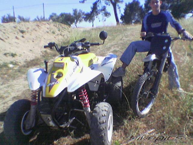 Photo 387923