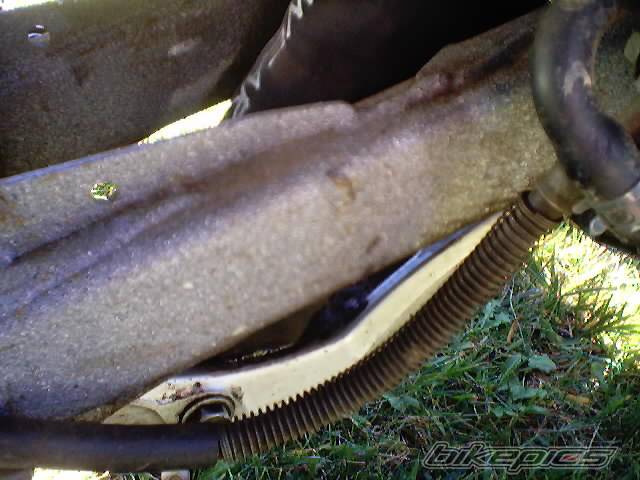 Photo 38810