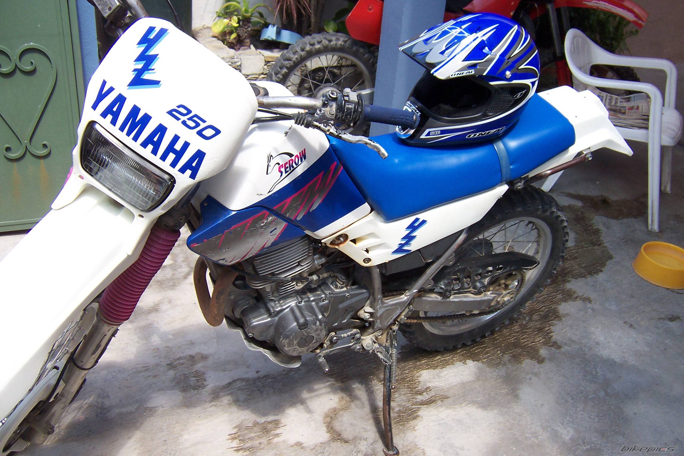 Bike Photo 388591
