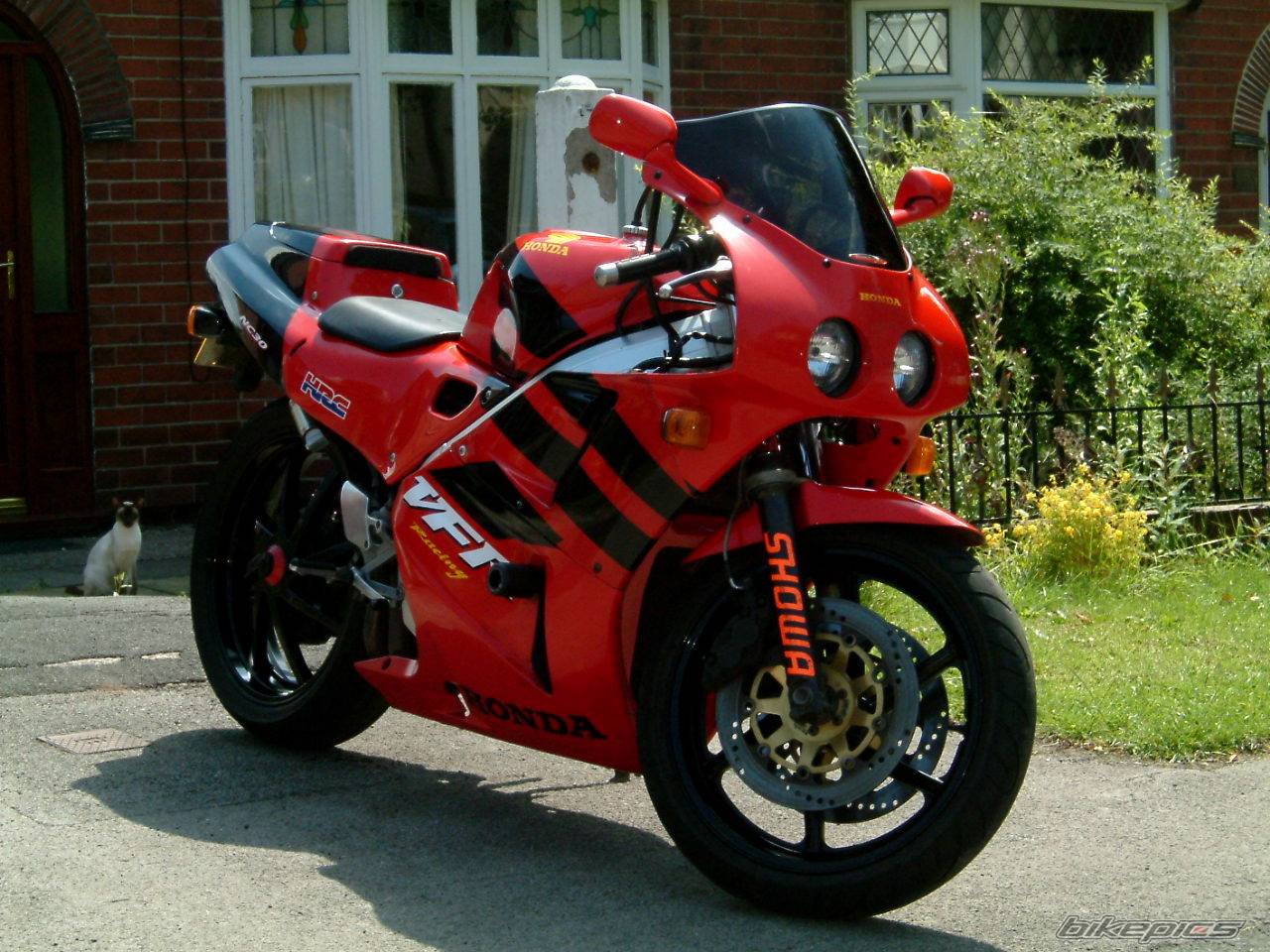 Bike Photo 388655