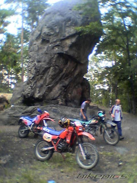 Bike Photo 388734