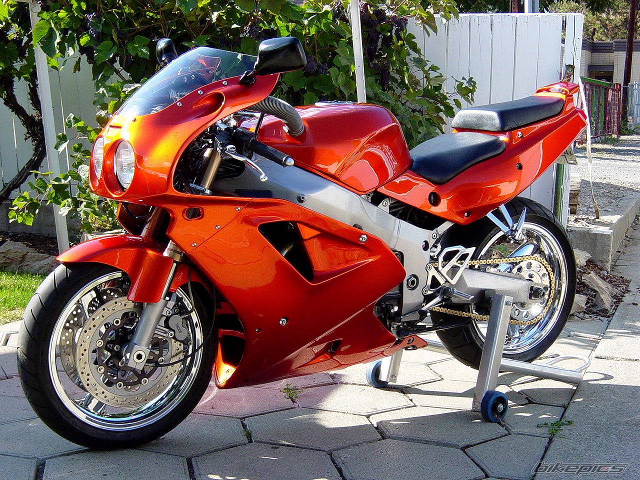 Bike Photo 38874
