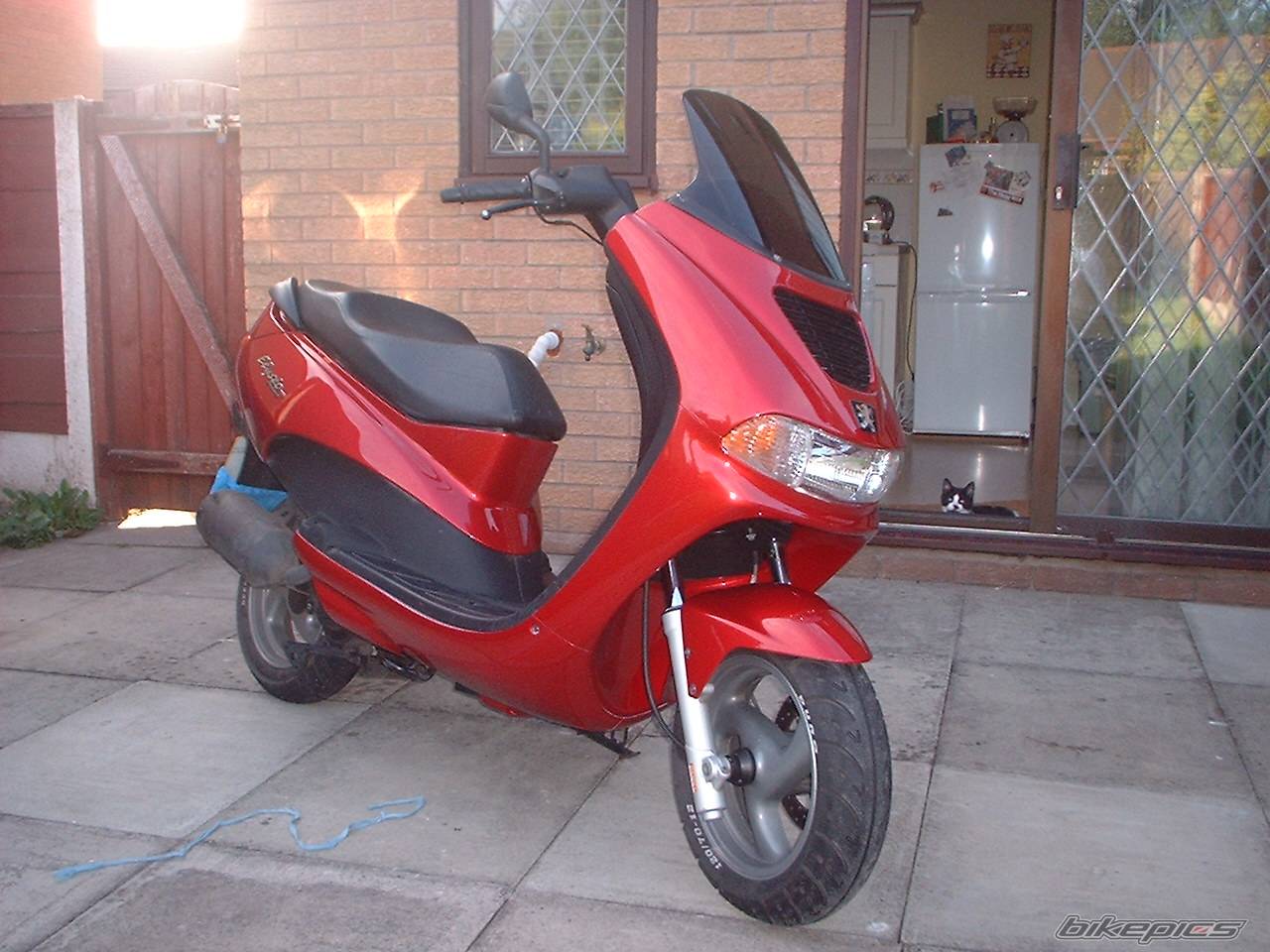 Bike Photo 388777