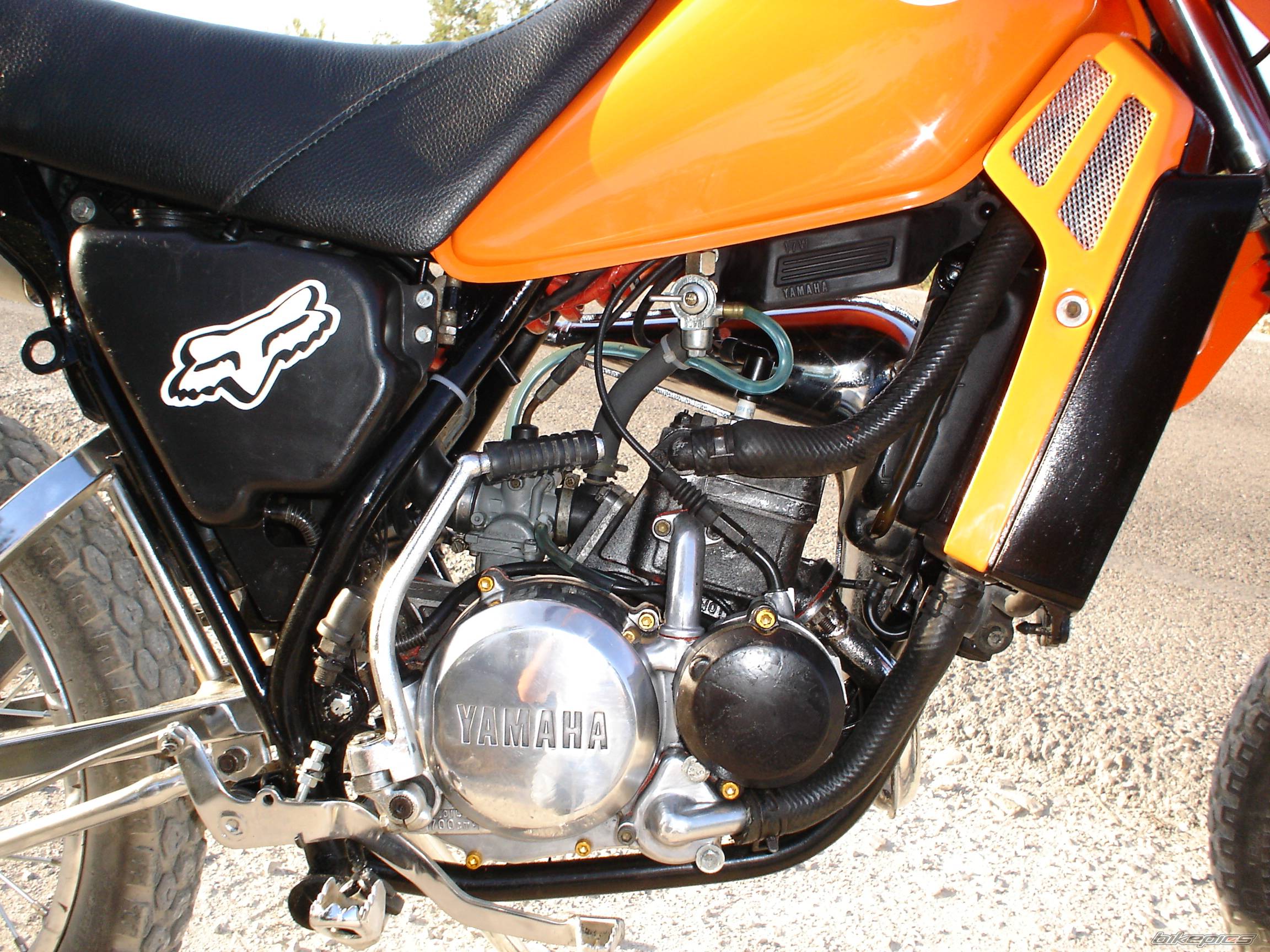 Bike Photo 388856