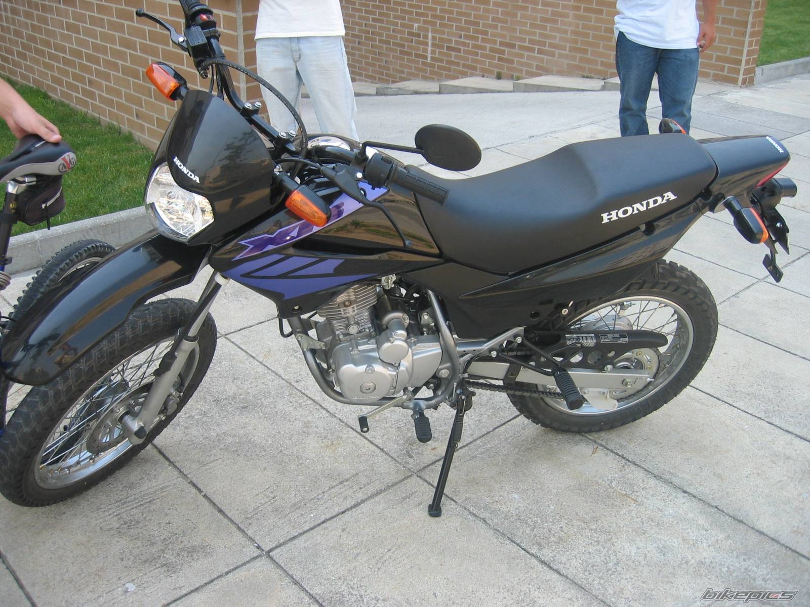 Bike Photo 388893