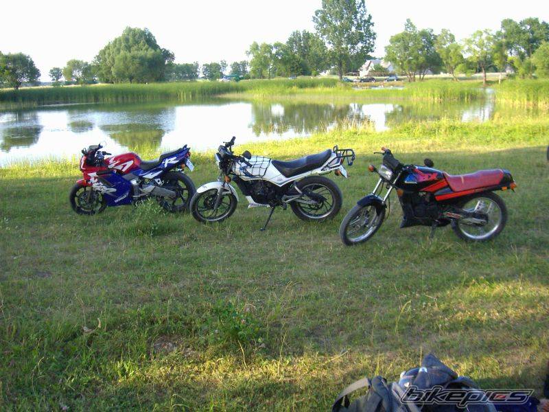 Photo 388940