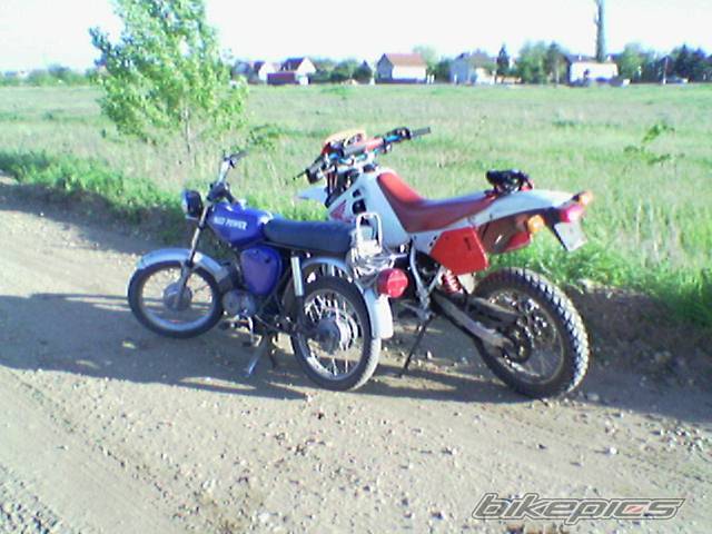 Photo 389194