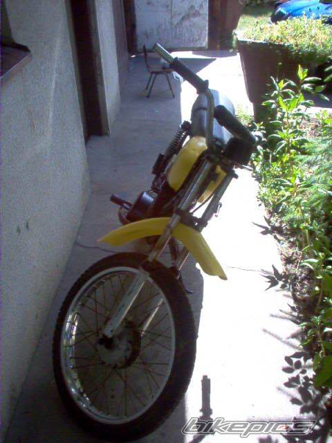Bike Photo 389331