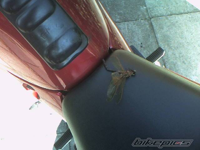 Bike Photo 389363