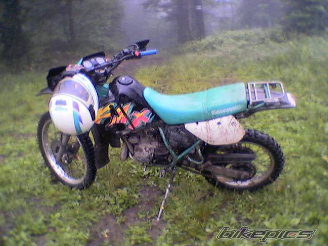 Bike Photo 389437