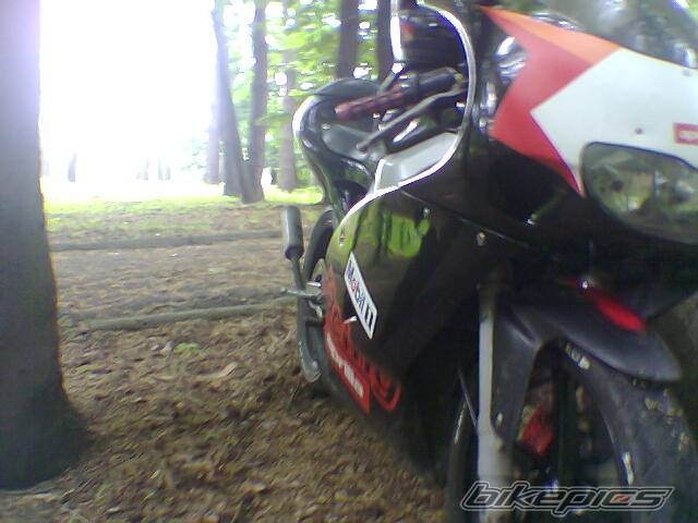 Photo 389485