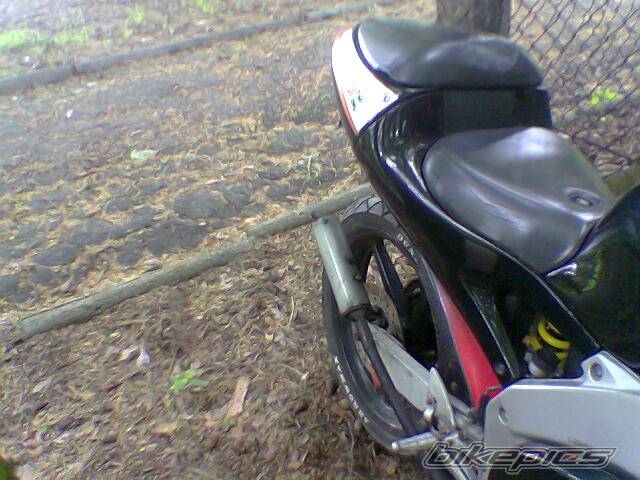 Photo 389486
