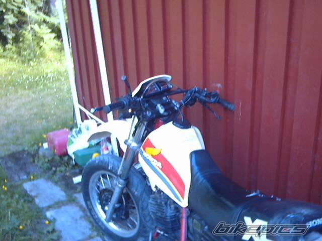 Bike Photo 389507