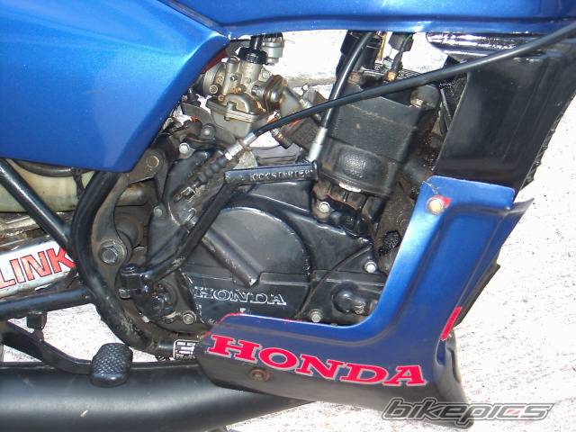 Bike Photo 389582