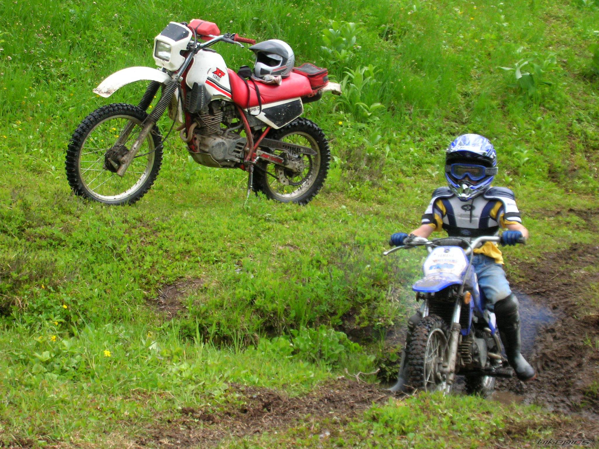 Bike Photo 389730