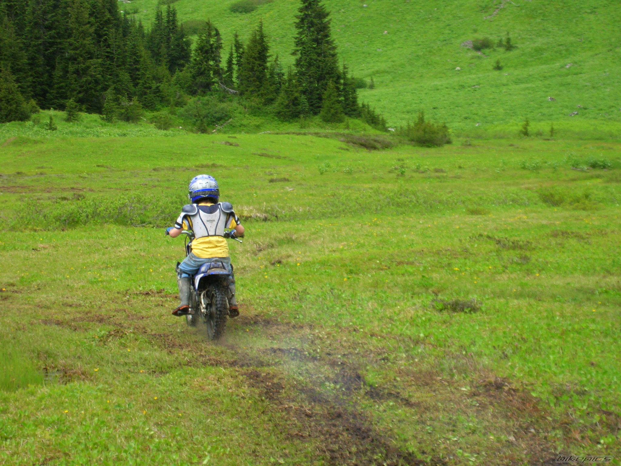Bike Photo 389731