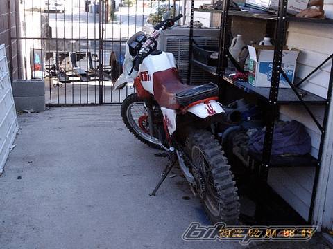 Bike Photo 389808