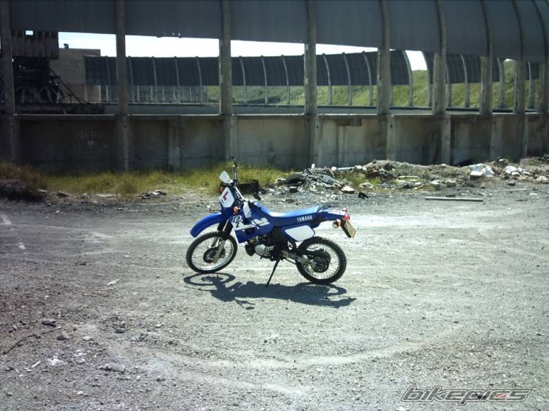 Photo 389995