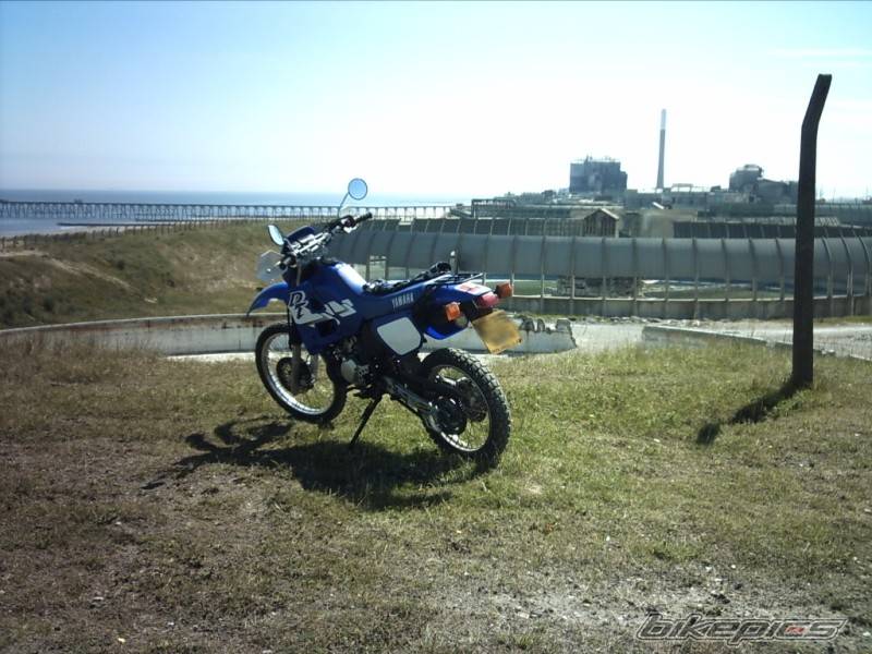 Photo 389998