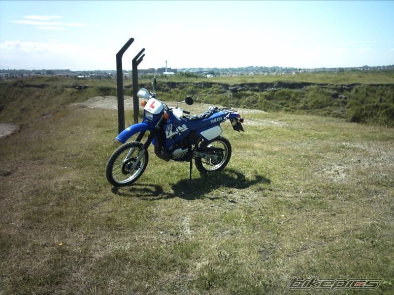 Photo 389999