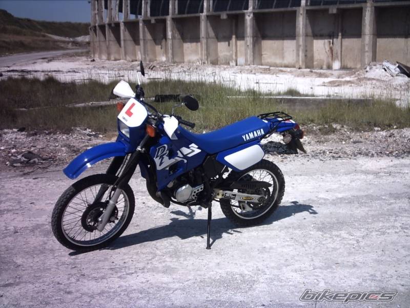 Photo 390002