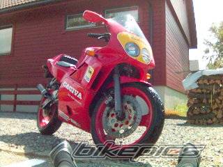 Photo 390087