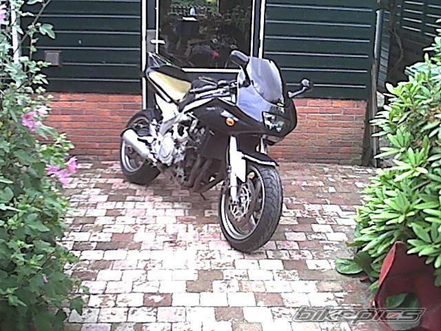 Bike Photo 39018