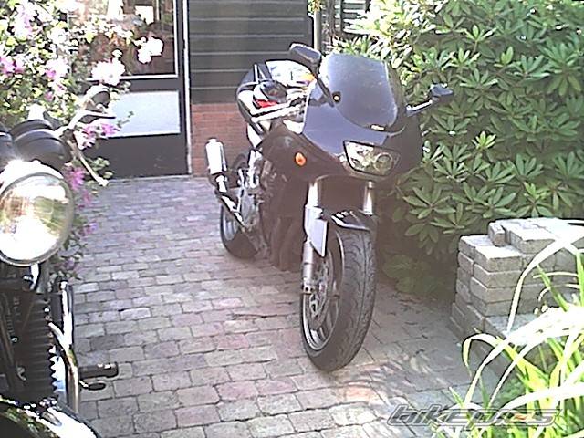 Photo 39019
