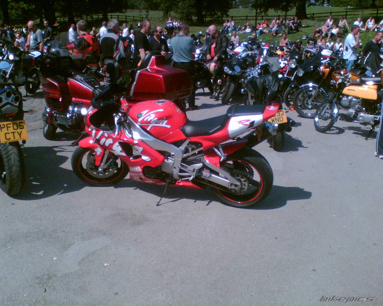 Bike Photo 390239