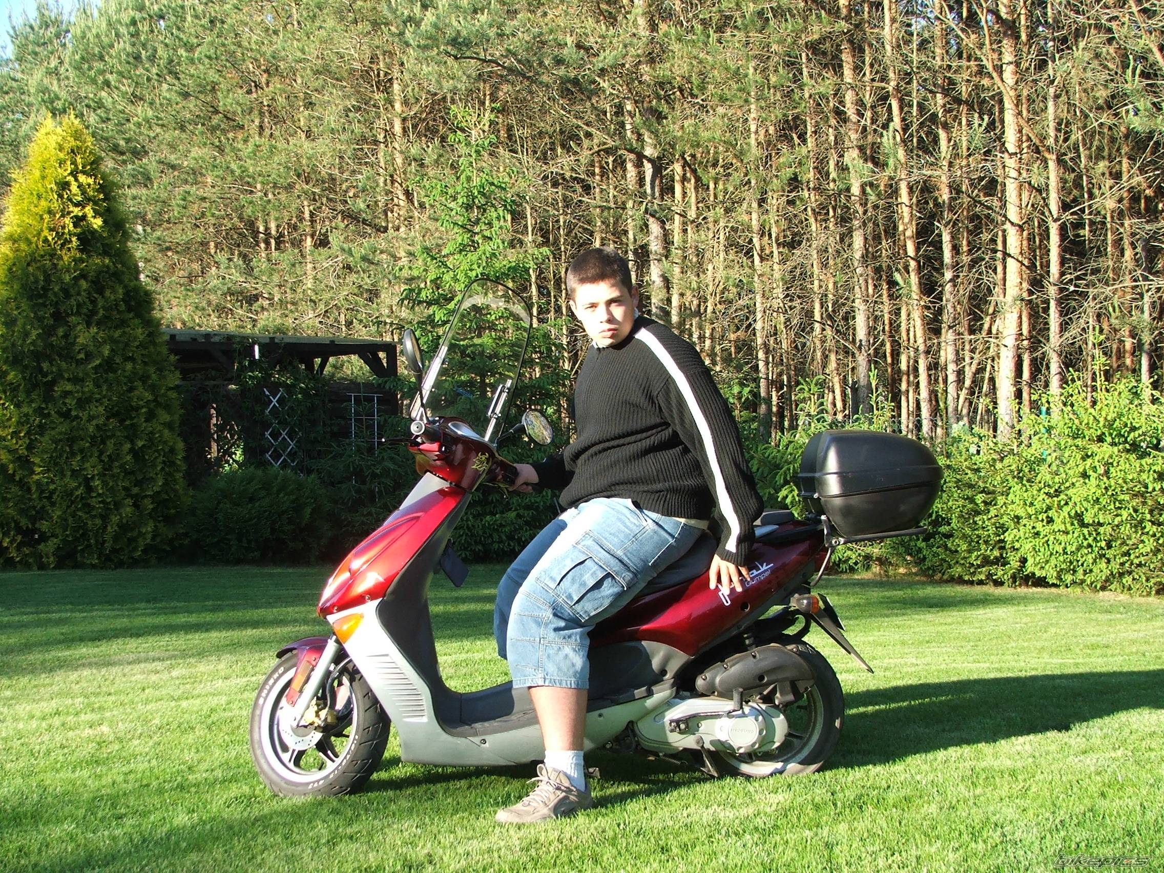 Bike Photo 390331