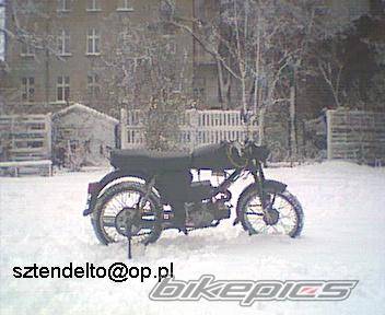 Photo 390341