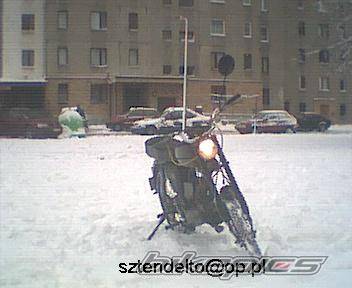 Photo 390343